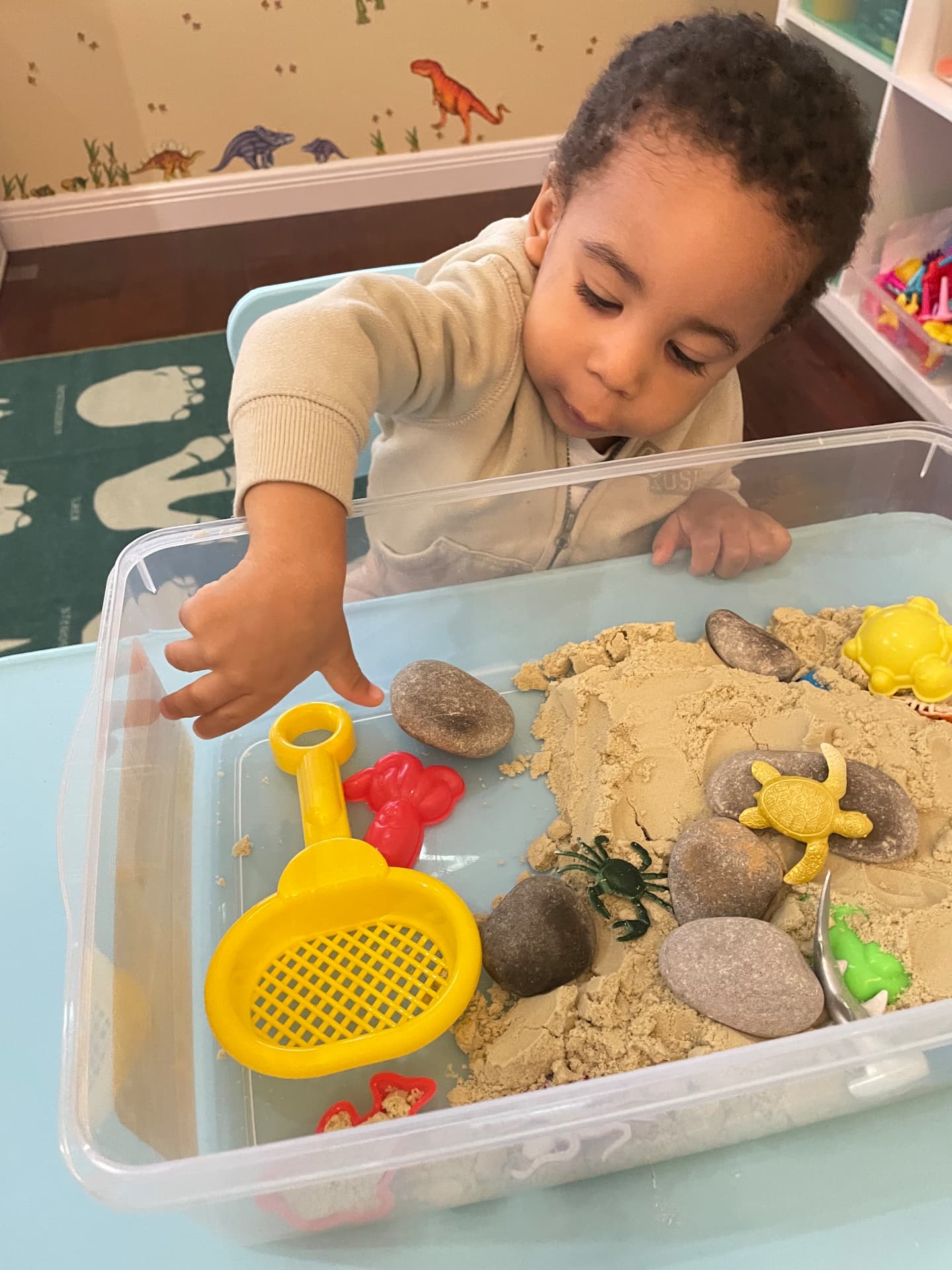Child digging with a scoop in a sensory sand bin with turtles and stones