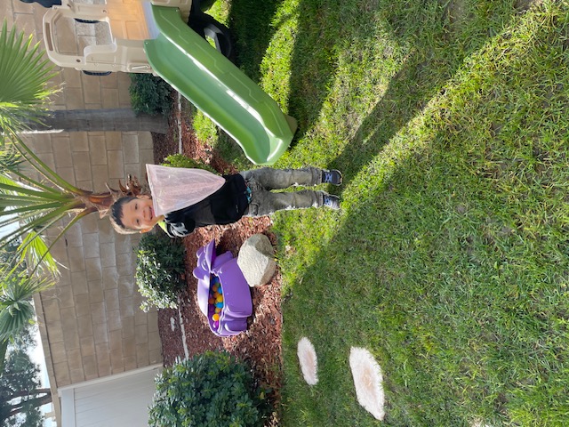 Child holding a butterfly net in the backyard by the slide