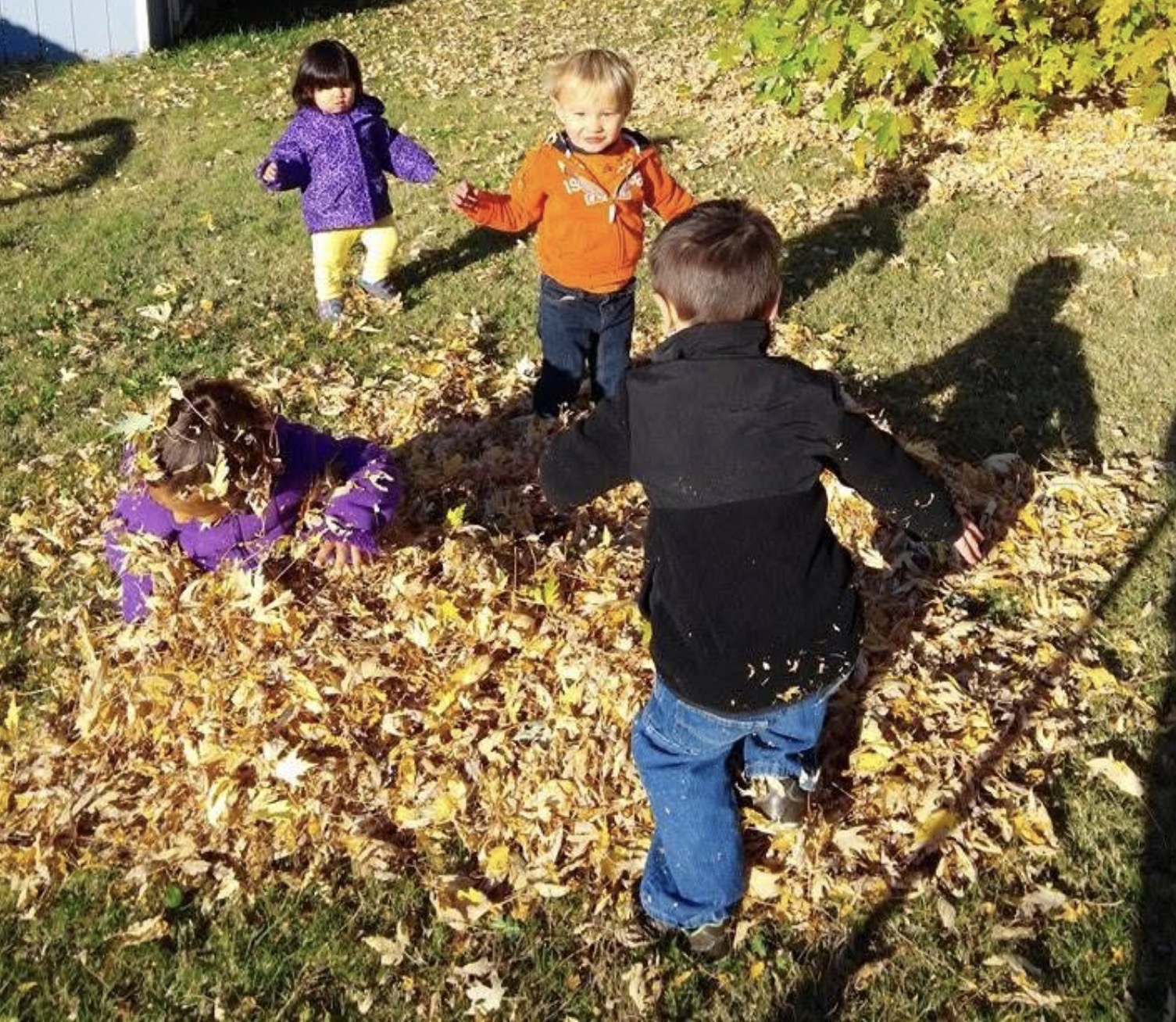 Four children playing in a big pile of autumn leaves