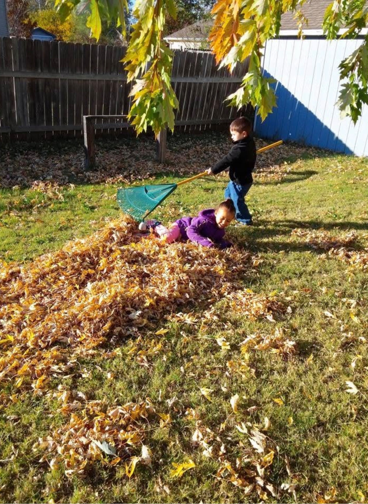 Children raking leaves together in the backyard